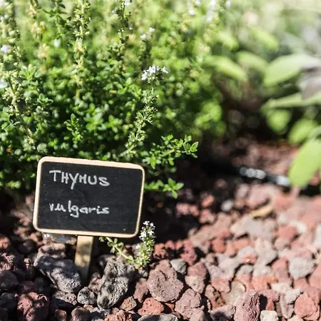 Villa Meryema - Excellent With Sea View *